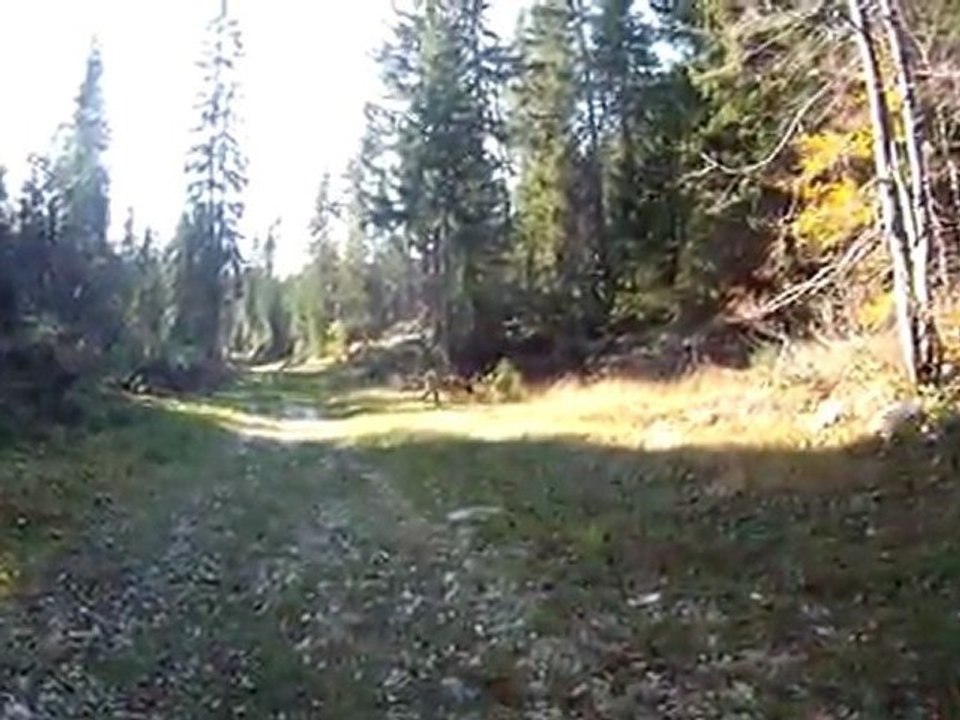 2011-10-21 - Forest 13 mois à La Feclaz