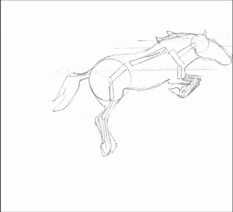 Animation Course de Cheval