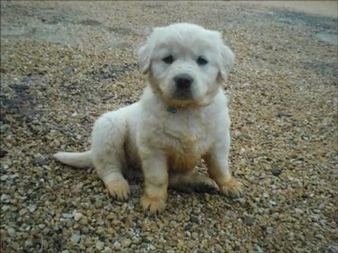 Les débuts de Naïa (1-6mois)