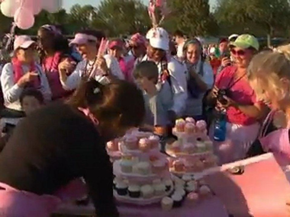 The Cupcake Diaries: Recipes and Memories from the Sisters of Georgetown Cupcake