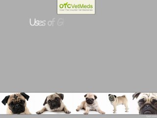 Vegetarian Glucosamine plus Celadrin plus MSM Liquid 300 ML