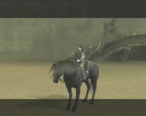 Shadow of the colossus 10) J'ai du sable dans l'oeil!