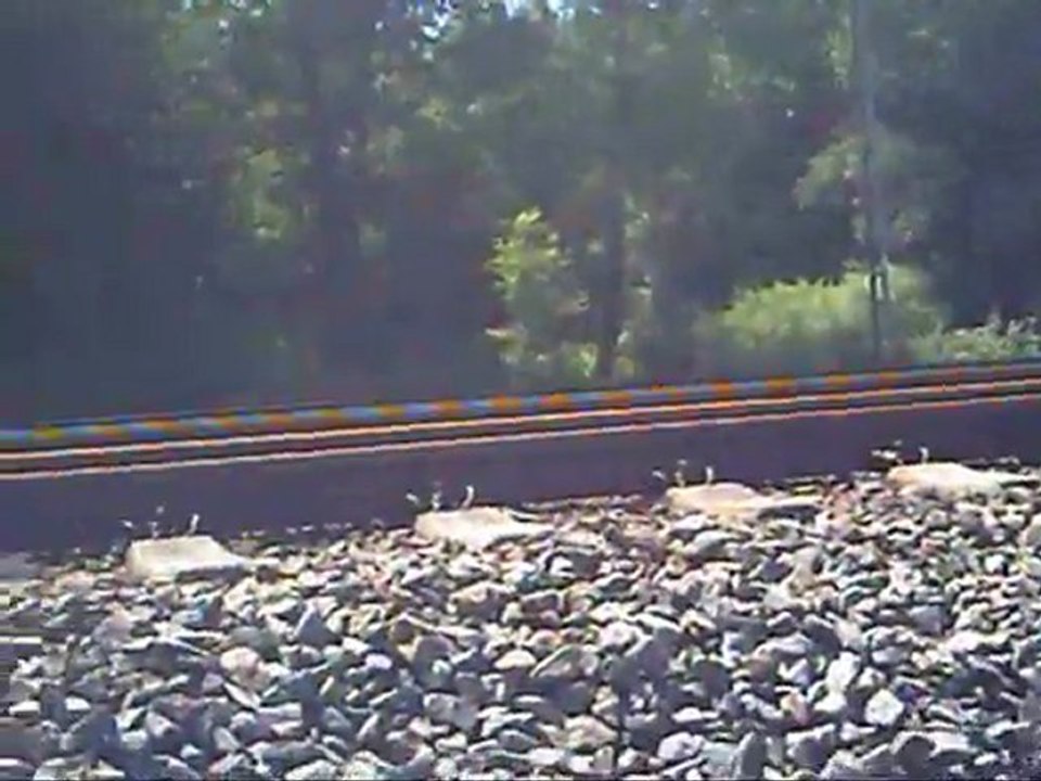 KBS 951 Güterzug und Regionalexpress nach Salzburg Hauptbahnhof