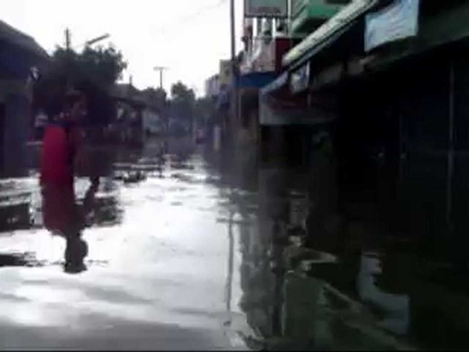 THAÏLANDE INONDATION "MAKE IT GREEN"