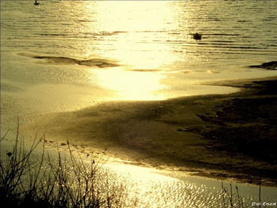 TANJU OKAN- DUDAKLARIMDA BİR ATEŞ