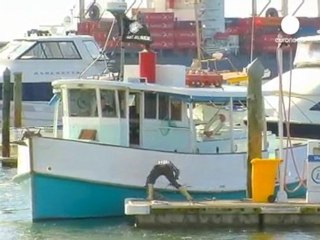 Volunteers rush to join New Zealand oil clean-up