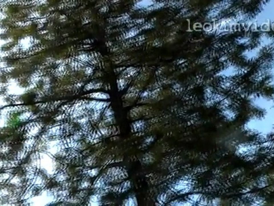 UFO. Secret Militaire. Aircraft .Chine. Chemtrails