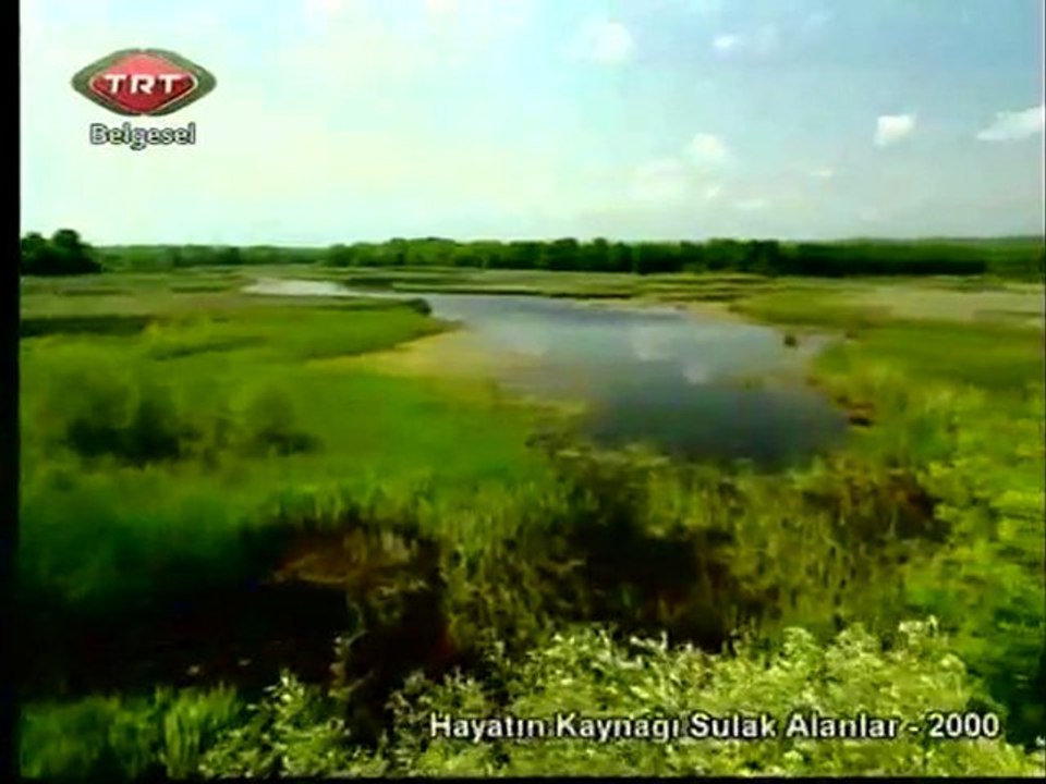 Hayatın kaynağı Sulak Alanlar - Göksu Deltası
