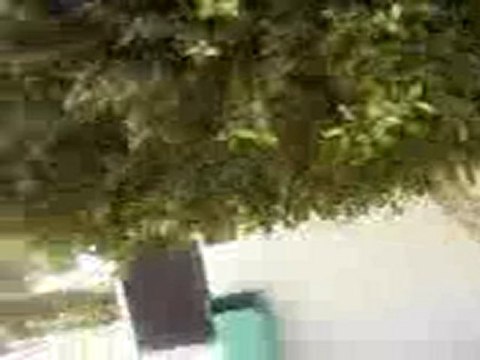 municipalité avenue bourguiba hbira mahdia tunisie