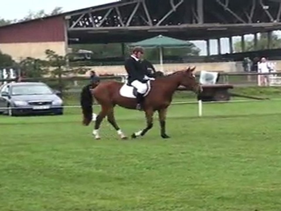 dressage poët 2011