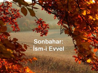 Sonbahar