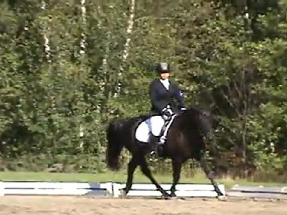 Paradox - JEQ 2011, reprise 3 -  entrainement