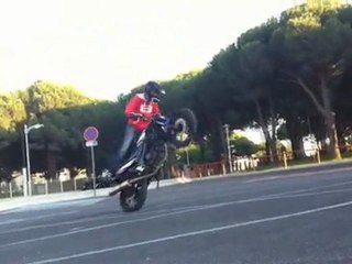 Stunt Meeky Progression 2011