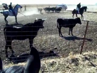 Rodasviejas 2011: Primer Encuentro Amantes del caballo y Toro Bravo