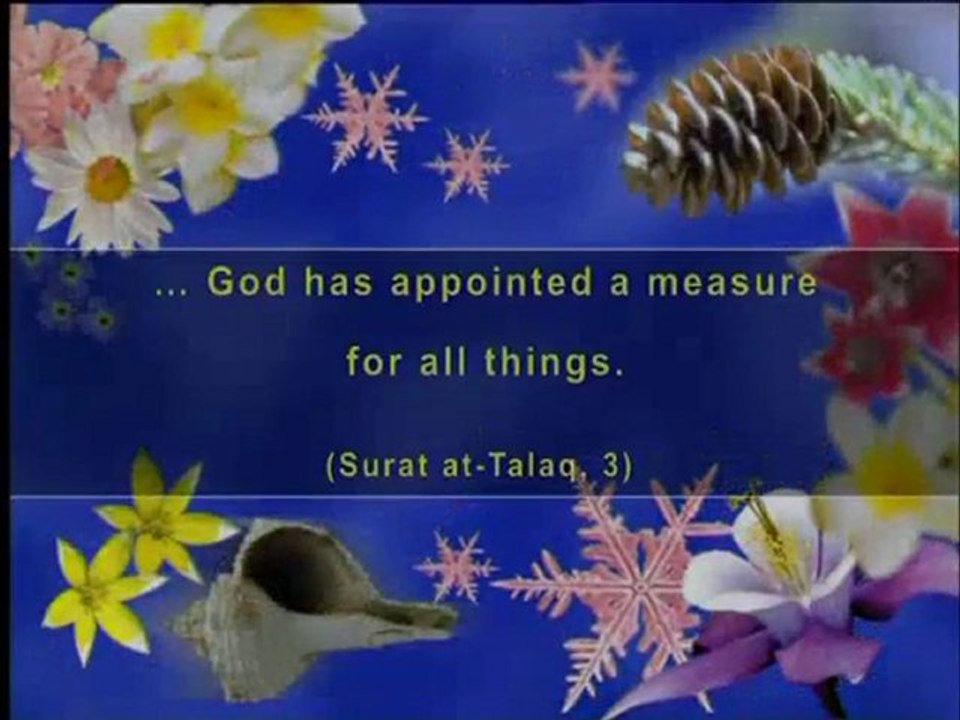 Harun Yahya TV - The golden ratio is God_s creation