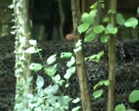 Bassoles-Aulers Partie d'airsoft du 28-08-2011