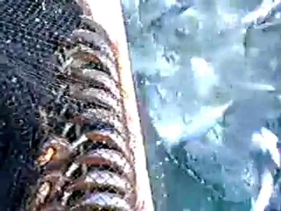 298890830127433_8707