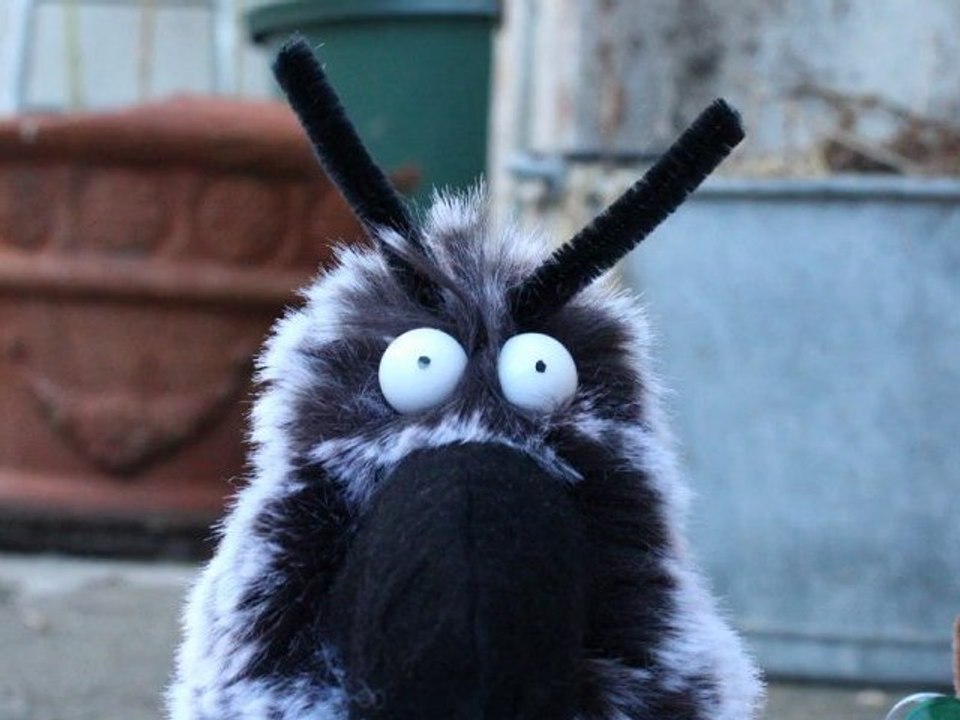 zoom-compensed stopmotion