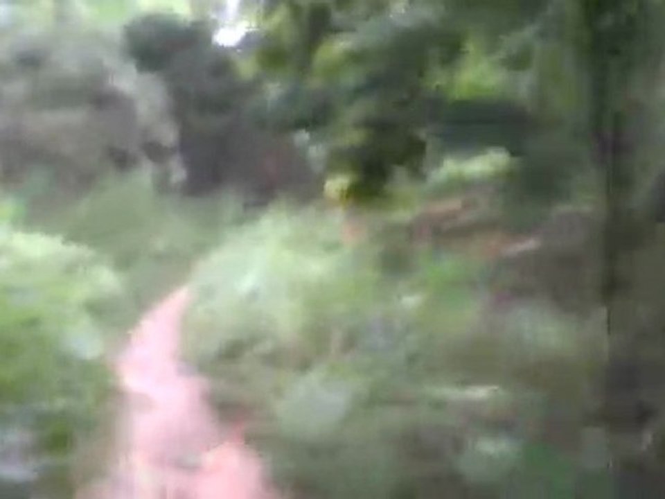 20111015 京都東山トレイル