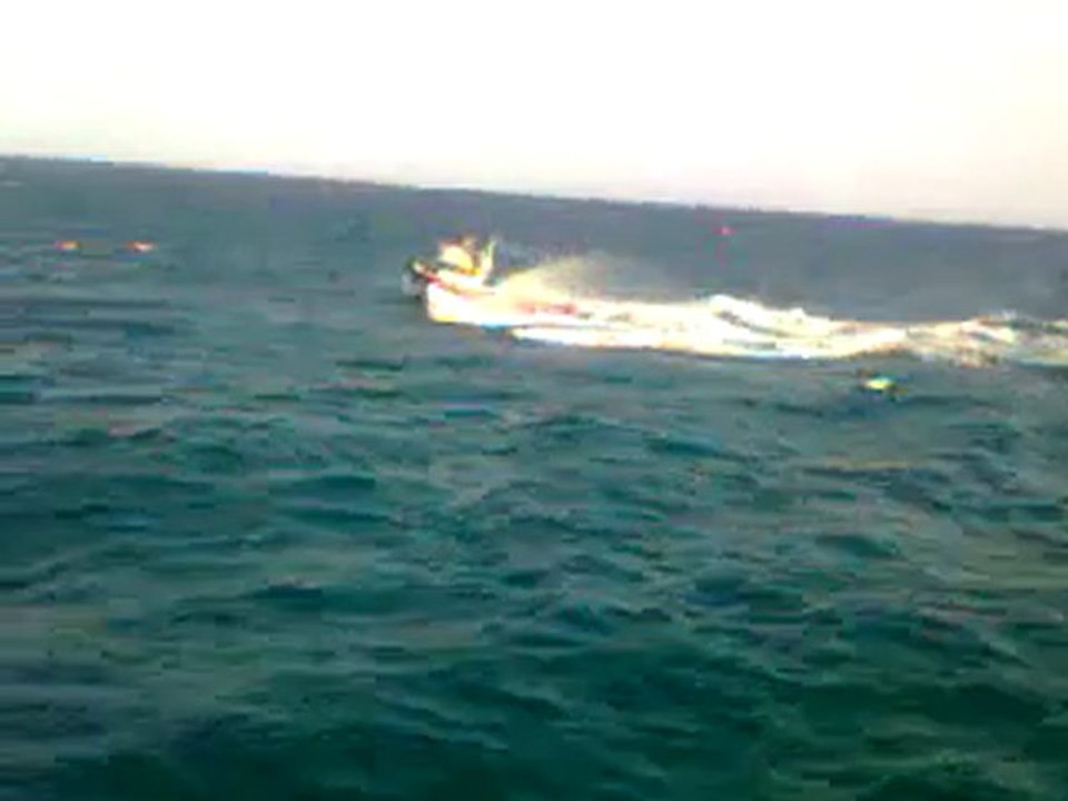 10150359295418679_18464