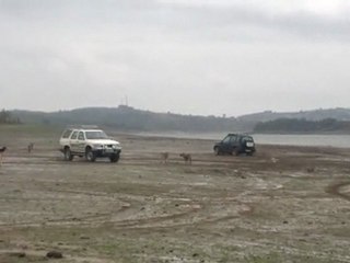 ömerli çamur dansı