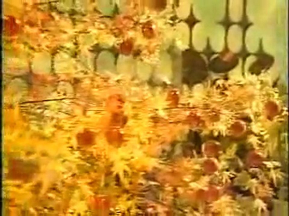 松田聖子　風は秋色