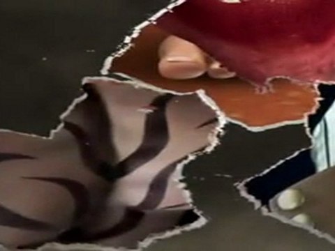 New York Comic Con Street Fighter X Tekken Teaser 2