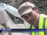 Volunteers clean up oiled NZ beaches