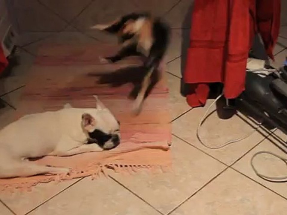 Olga et charlotte dans la salle de bain 14 oct 2011