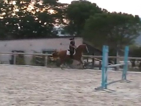 Twisky travail au galop