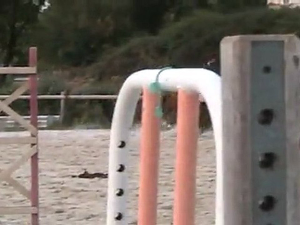 Twisky travail au galop 2