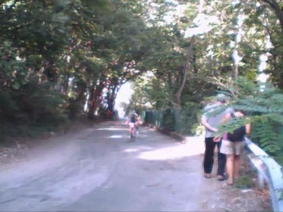 Montée de la Bastille 2010