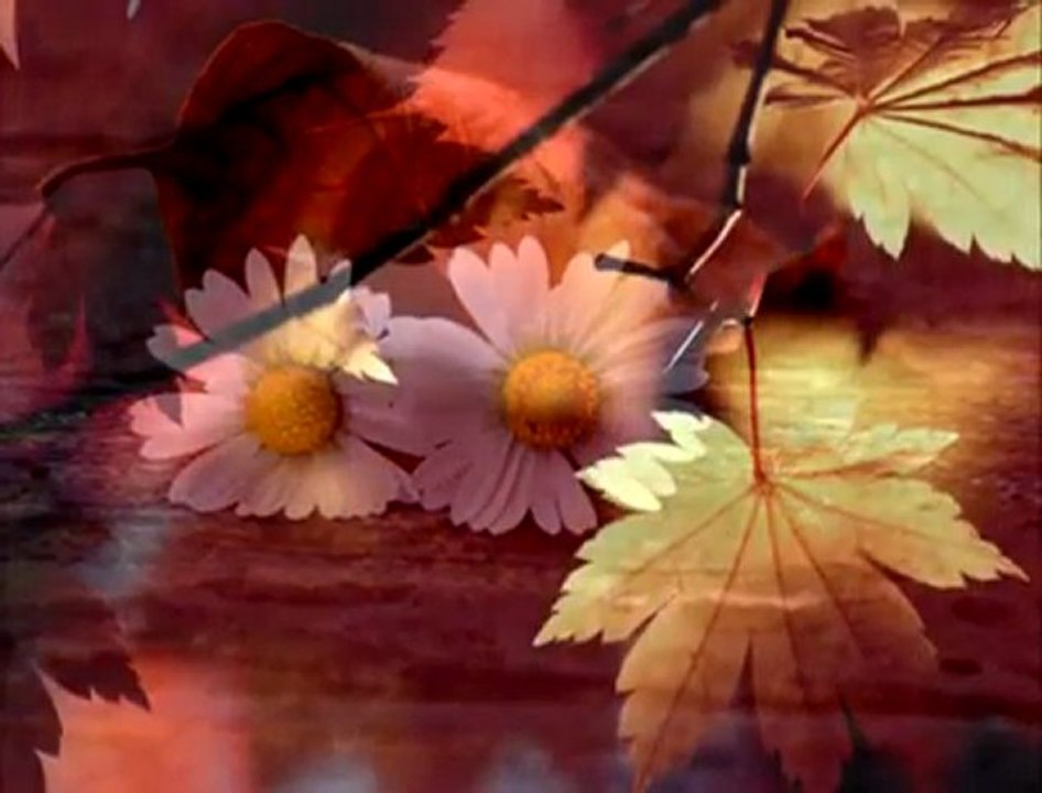 Cafe AnatoLia - Last Moments Of Love