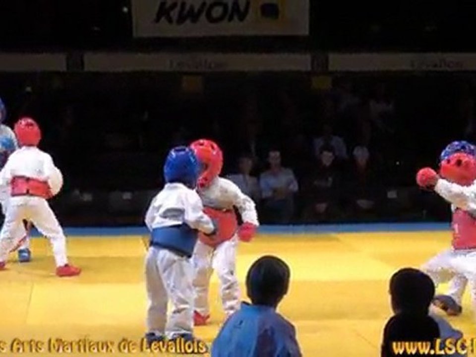 Nuit des arts Martiaux de Levallois