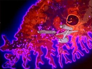 The 80: A Star Trek Tribute