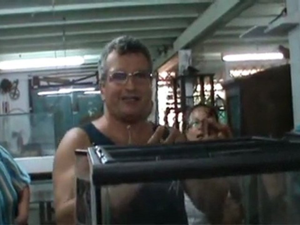 Le planeur bleu - CACAO (Guyane)