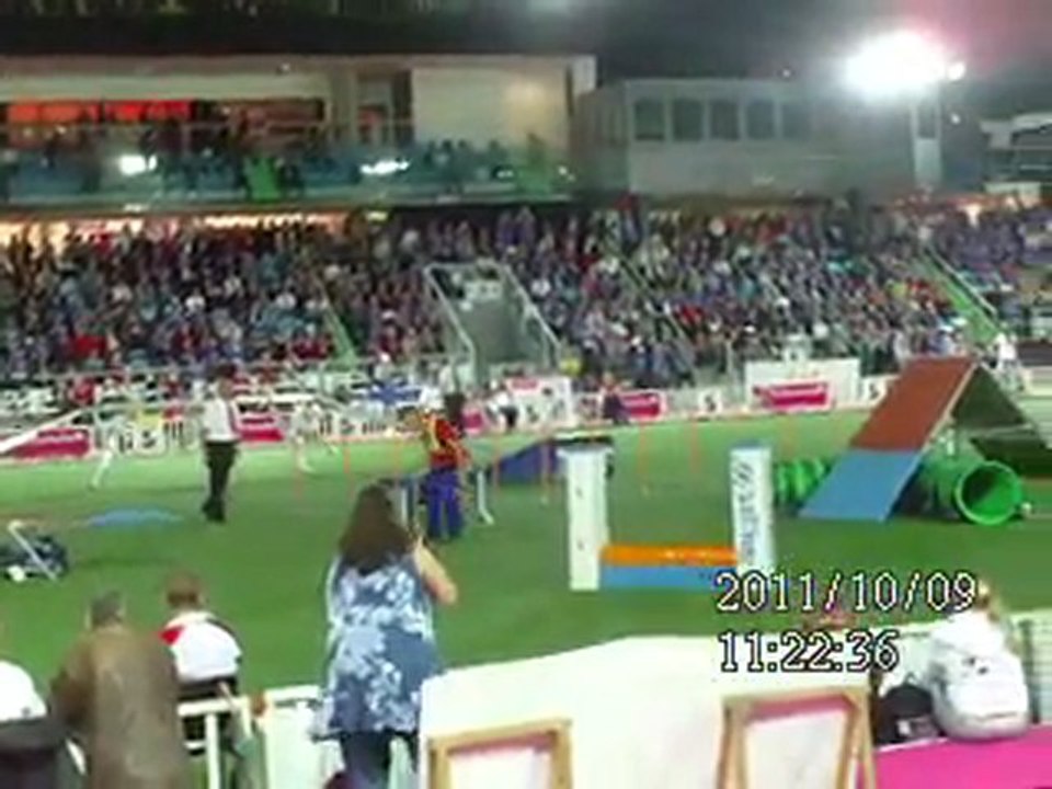 Mondial agility Liévin 2011 (9)