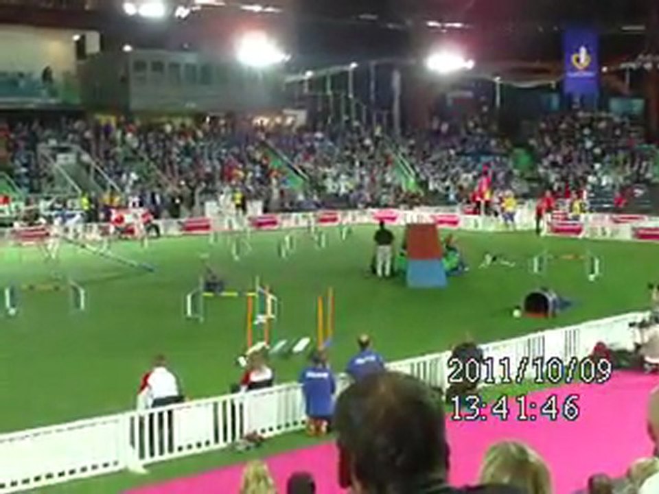 Mondial agility Liévin 2011 (10)