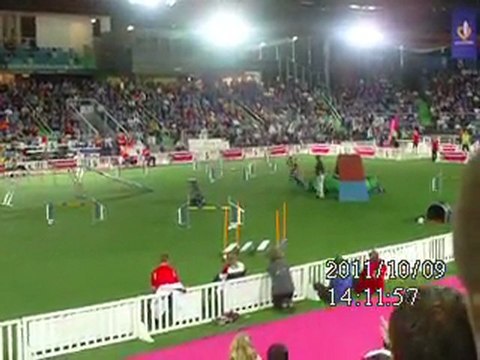 Mondial agility Liévin 2011 (12)