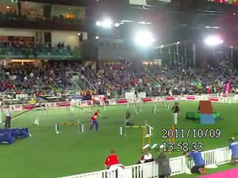 Mondial agility Liévin 2011 (11)