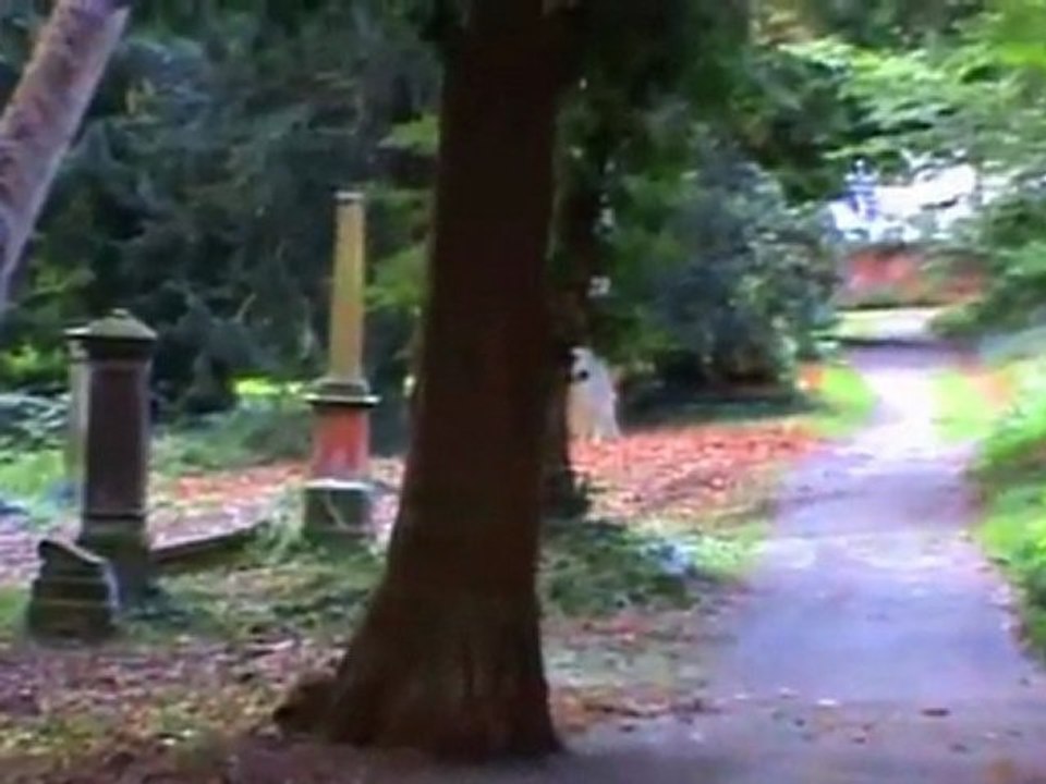 Pirmasens Alter Friedhof