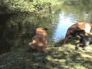 New01.mpg  ST Simon 19 09 2011