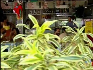 Fina Estampa  12-10-11   Teodora vai atrás de Quinzé