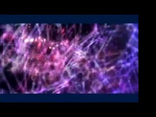 RFID, La police totale " le Film "