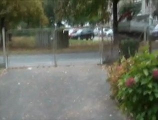 La démarche du canard vers la liberté. Louis Thur.