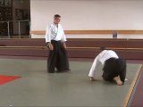 Yokomen-Uchi Irimi-Nage Ura