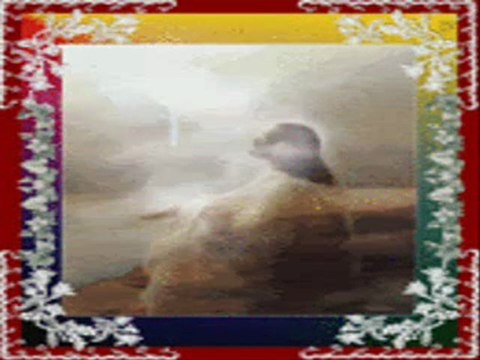 Ik maak alles weer nieuw