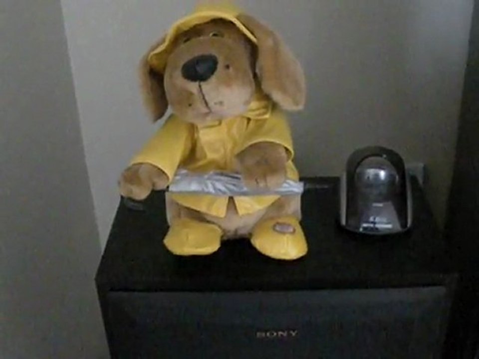 Singing in the rain with TouTou