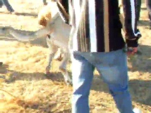 BALALI KARABAŞ-HÜSEYİNİN KARABAŞ