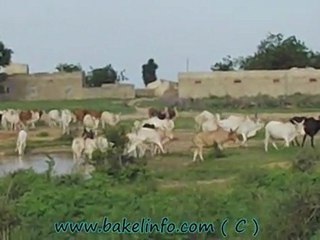 Visite découverte d'un cours d'eau de Bondji by Bakelinfo